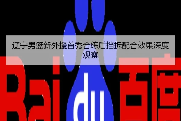 辽宁男篮新外援首秀合练后挡拆配合效果深度观察